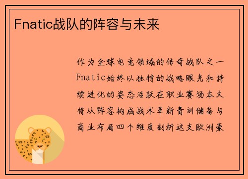 Fnatic战队的阵容与未来